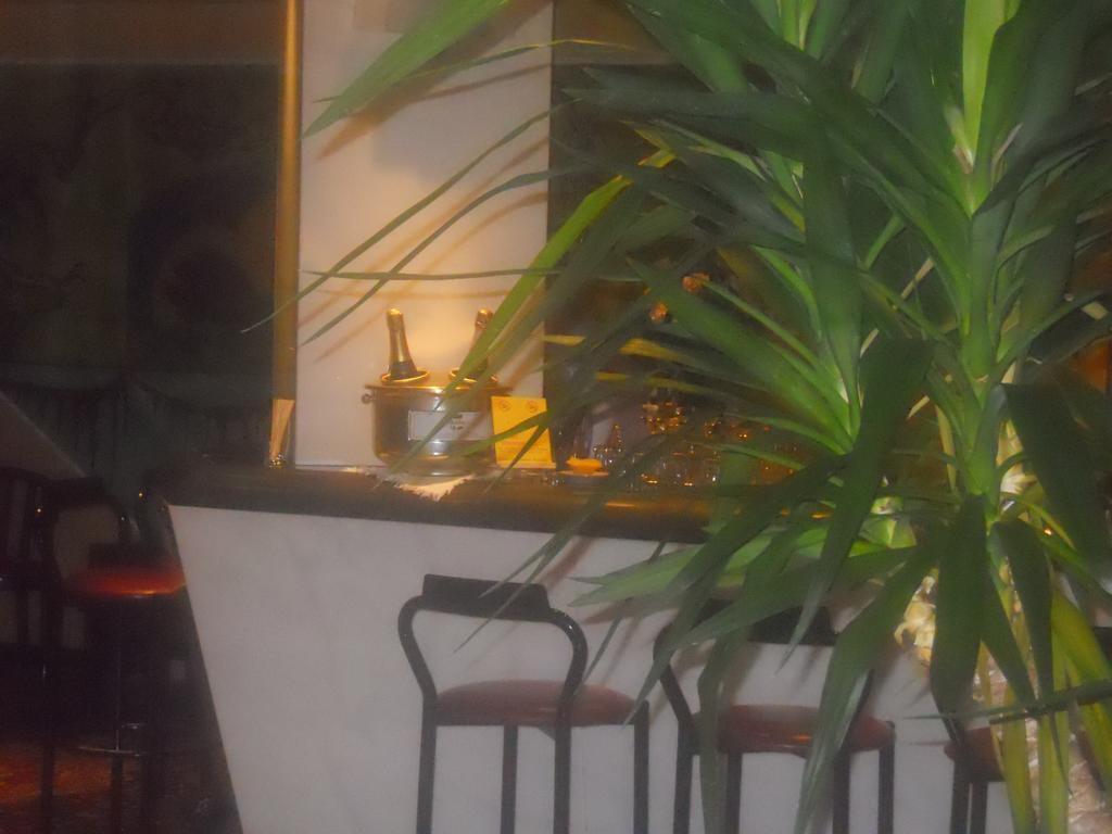 רימיני Hotel Diplomat Palace מראה חיצוני תמונה